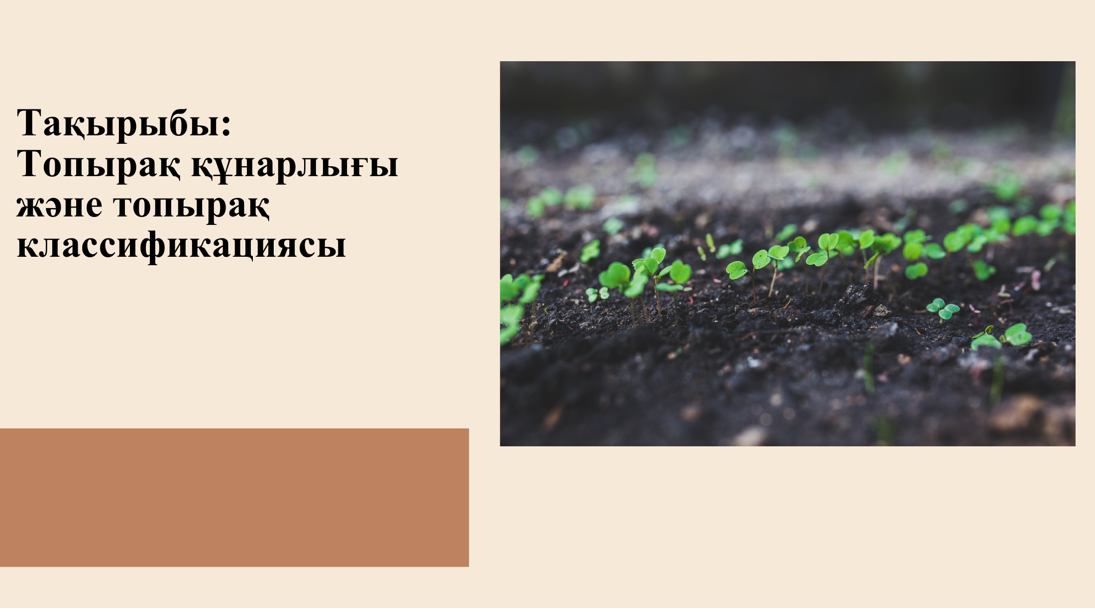 1-бет