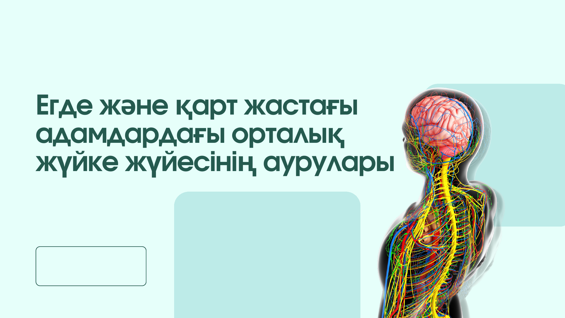 1-бет