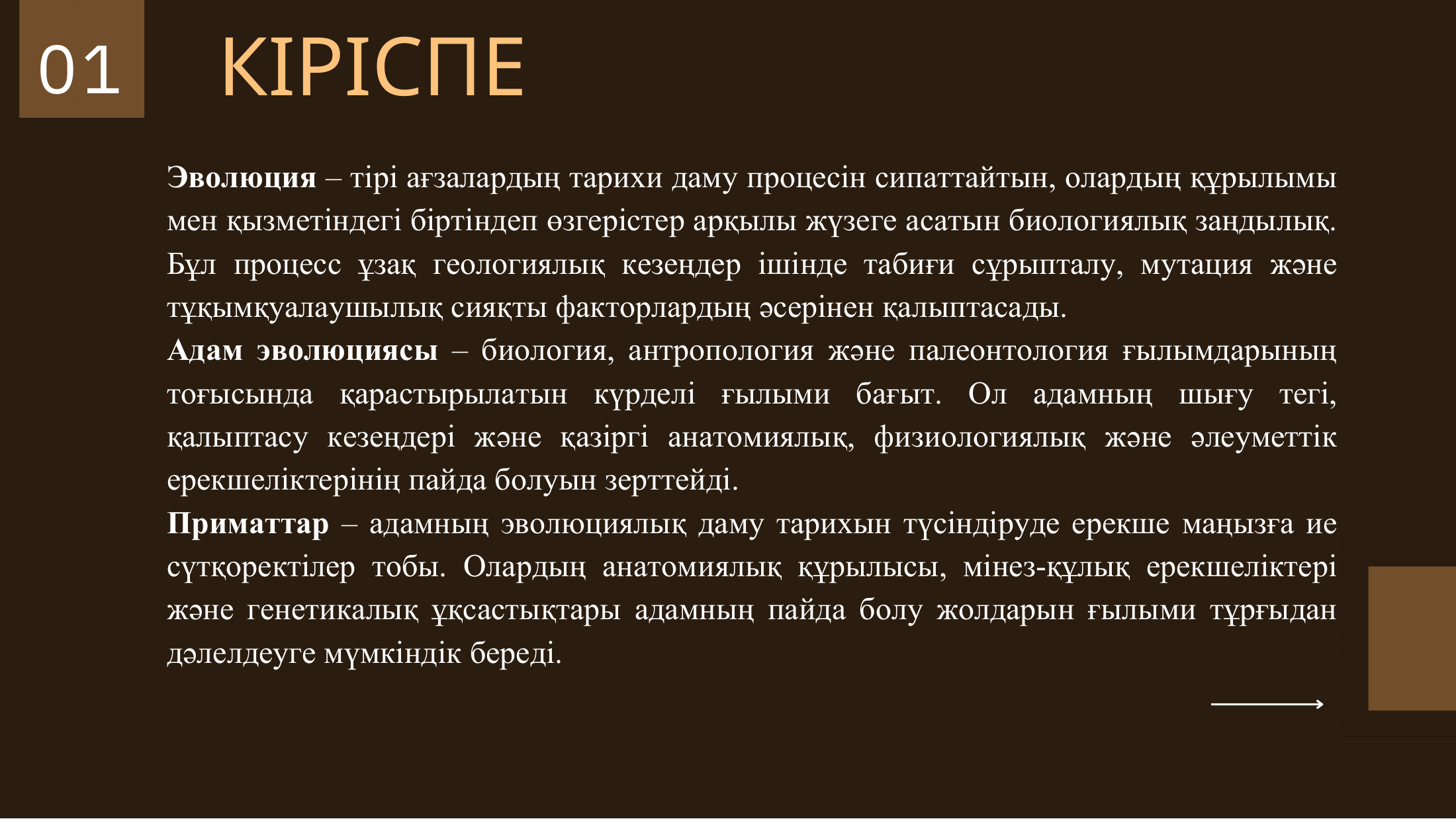 2-бет