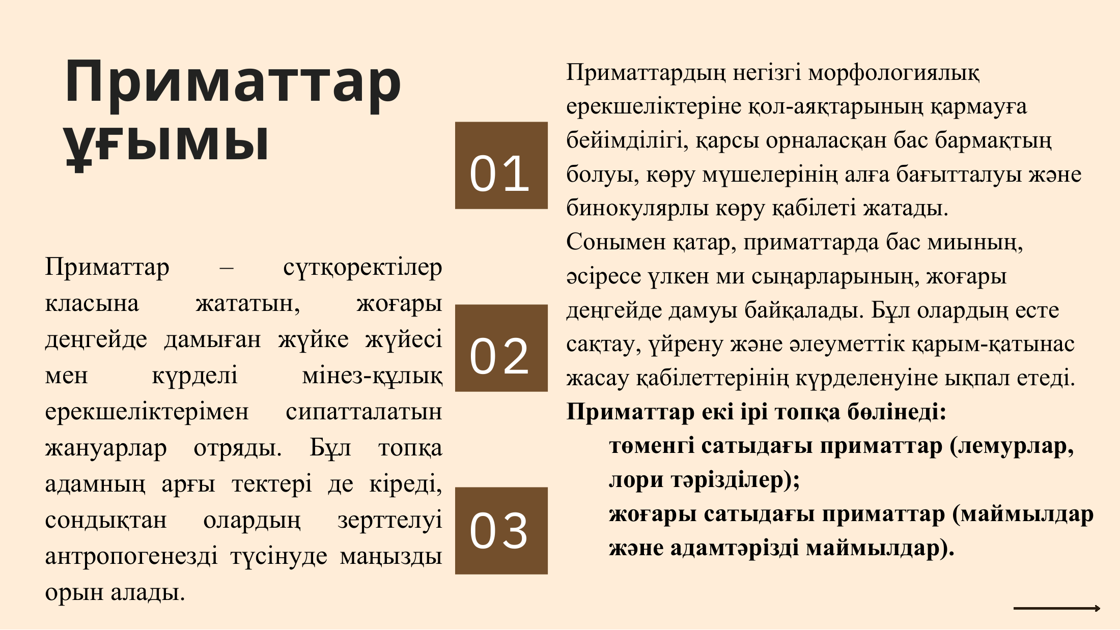 3-бет