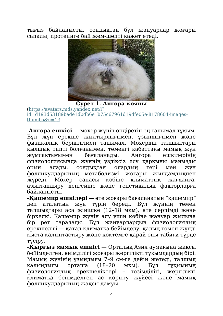 4-бет
