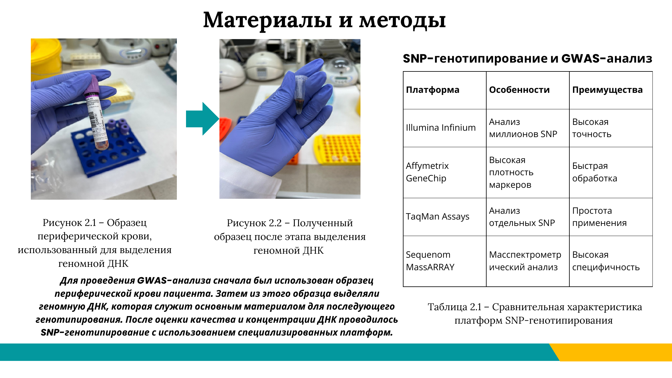5-бет