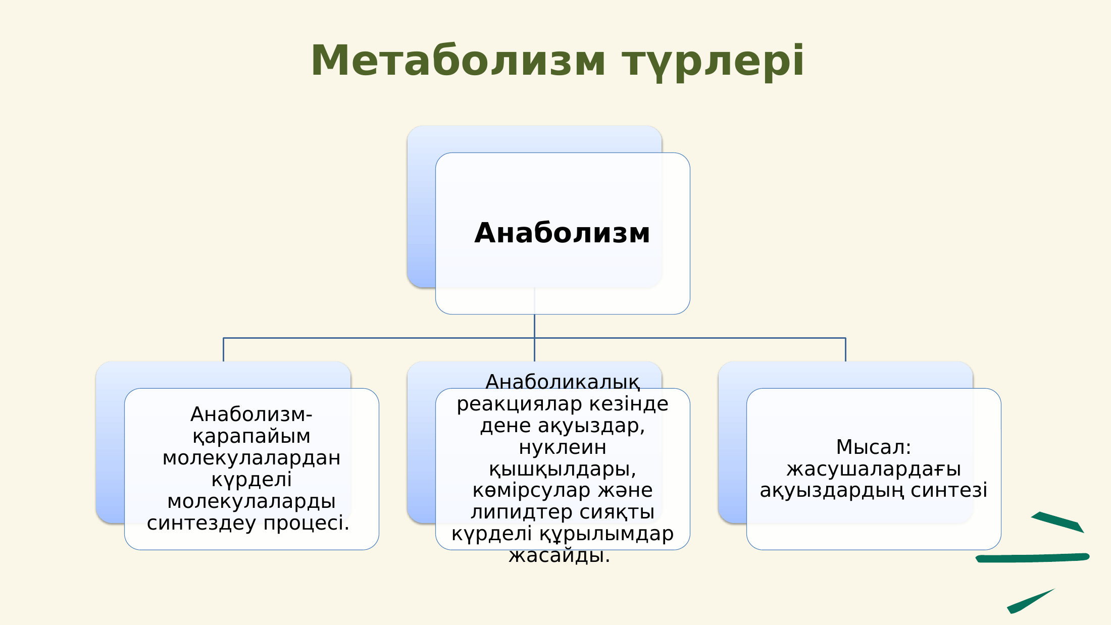 2-бет