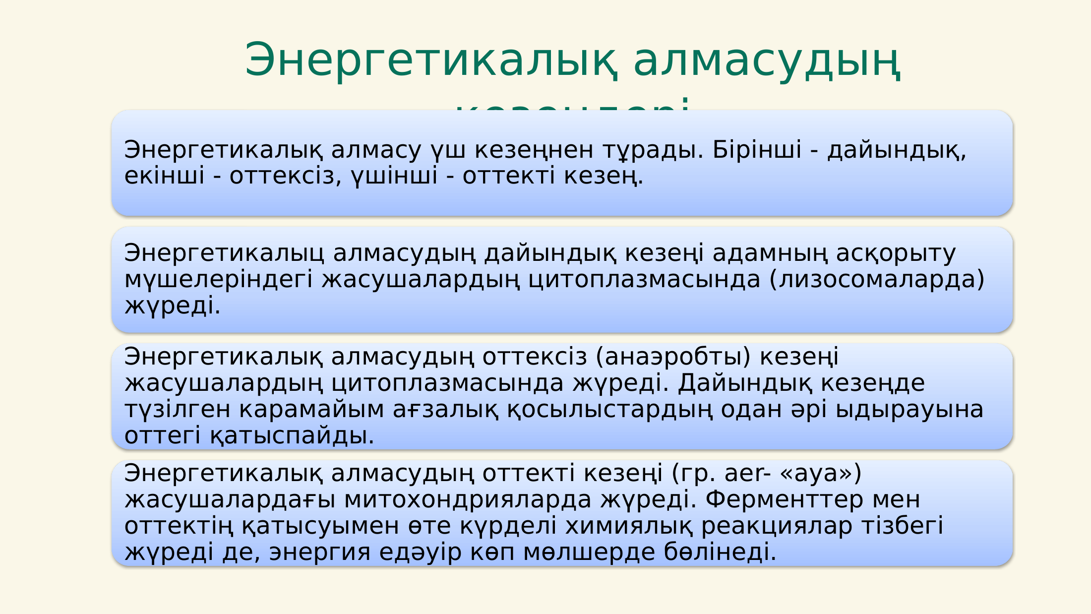 4-бет
