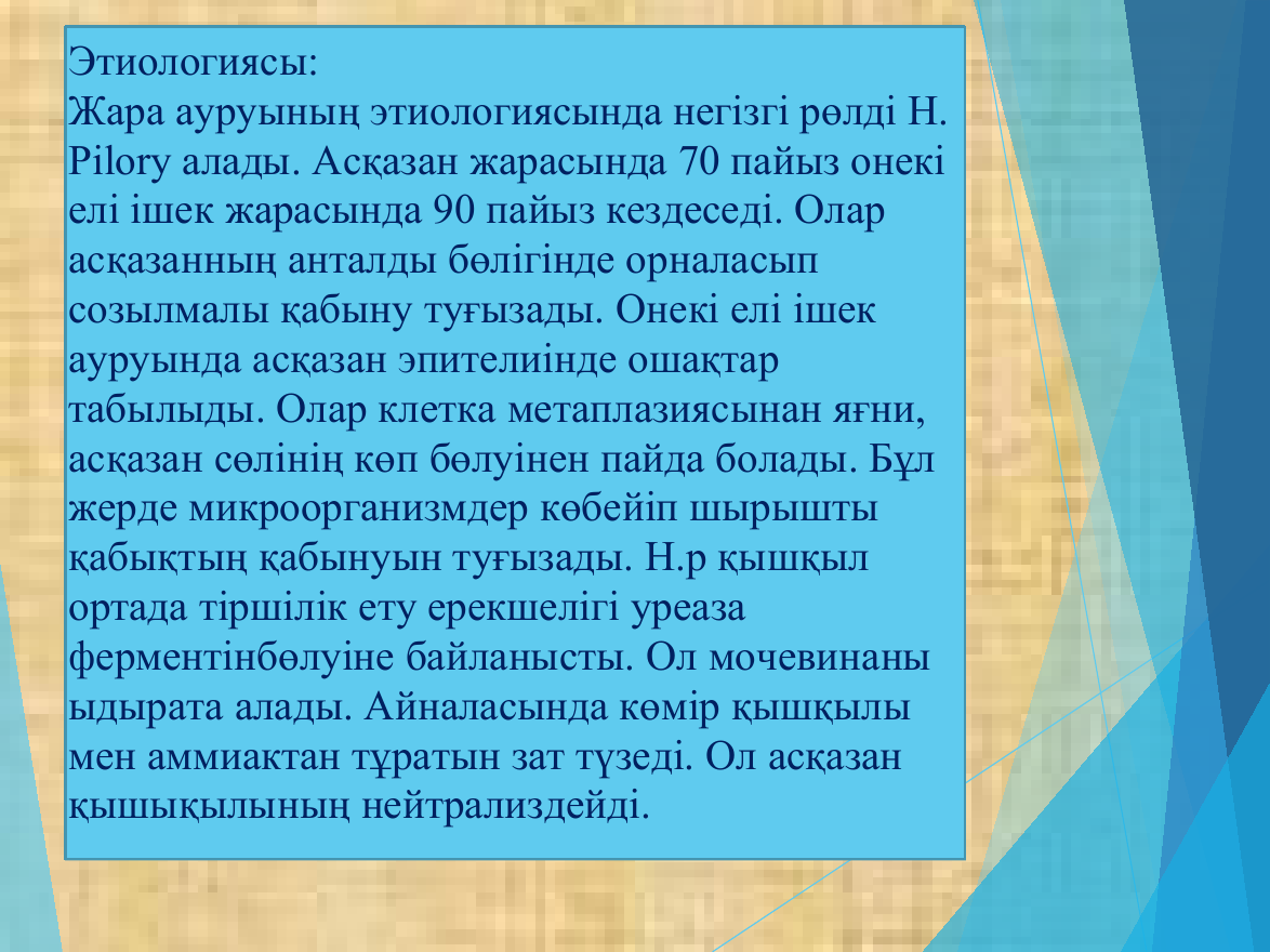 4-бет